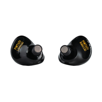 Punch Audio Portazo